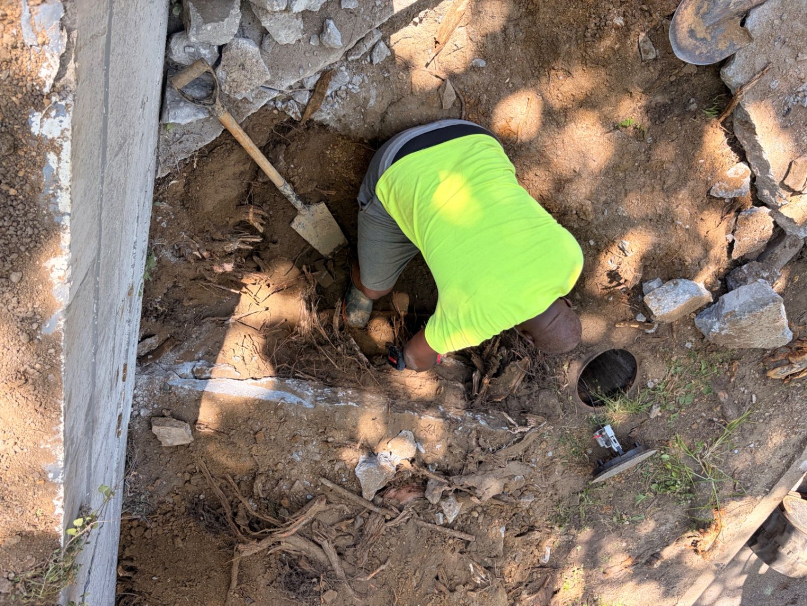 Plumbing worker excavating a sewer line beside exposed tree roots